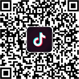 抖音小程序